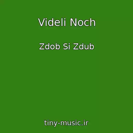 کاور آهنگ Videli Noch از Zdob Si Zdub