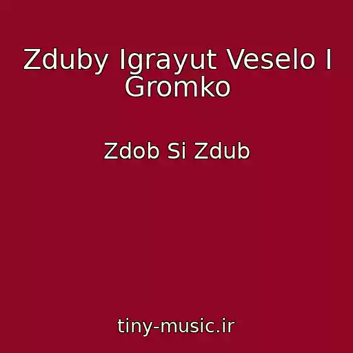 کاور آهنگ Zduby Igrayut Veselo I Gromko از Zdob Si Zdub