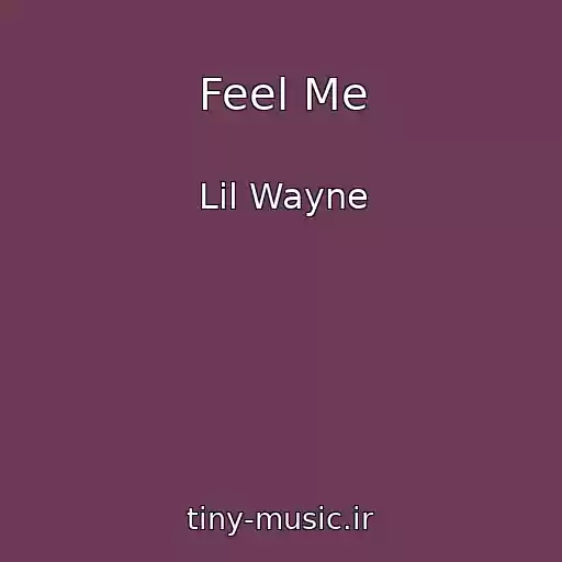 کاور آهنگ Feel Me از Lil Wayne