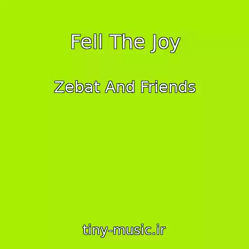 کاور آهنگ Fell The Joy از Zebat And Friends