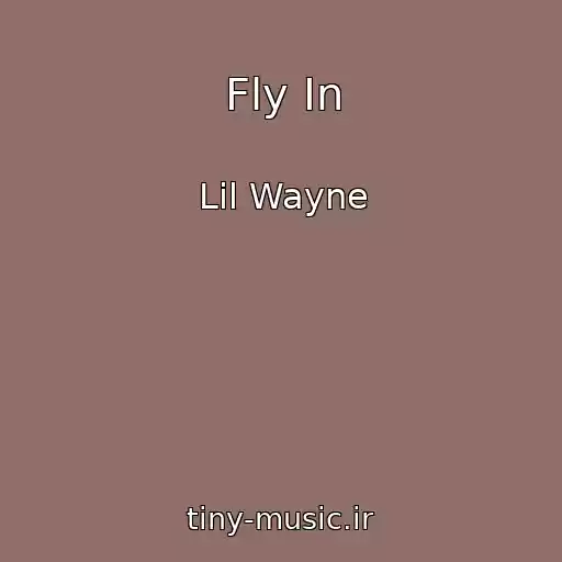 کاور آهنگ Fly In از Lil Wayne