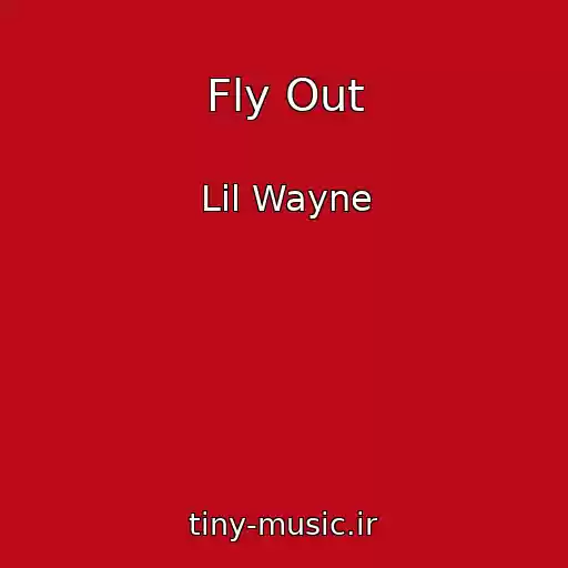 کاور آهنگ Fly Out از Lil Wayne