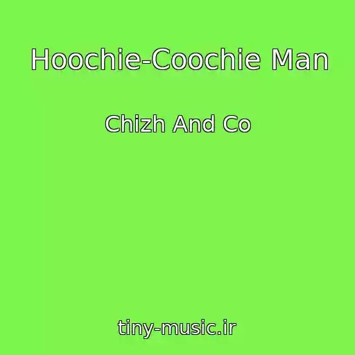 کاور آهنگ Hoochie-Coochie Man از Chizh And Co