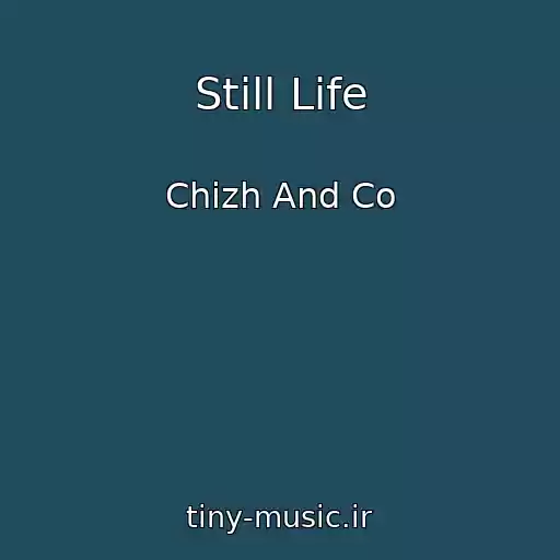 کاور آهنگ Still Life از Chizh And Co