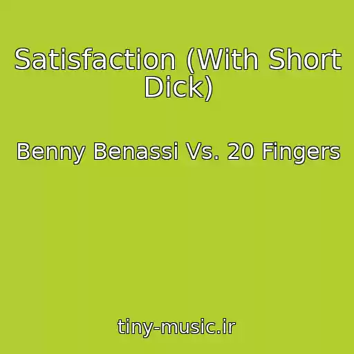 کاور آهنگ Satisfaction (With Short Dick) از Benny Benassi Vs. 20 Fingers