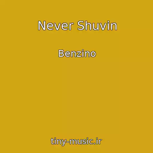 کاور آهنگ Never Shuvin از Benzino