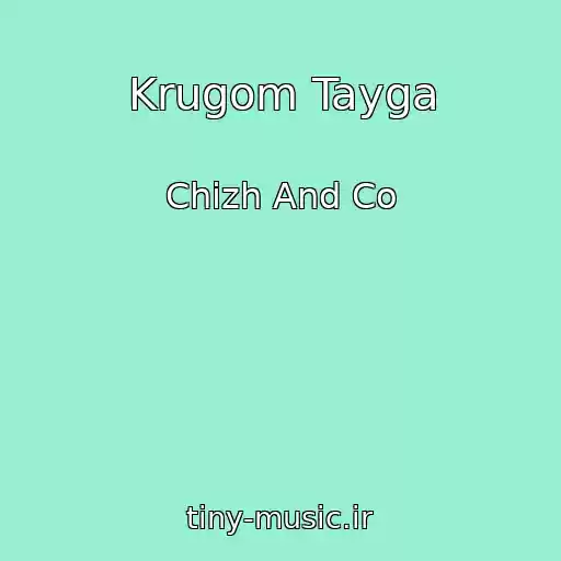 کاور آهنگ Krugom Tayga از Chizh And Co