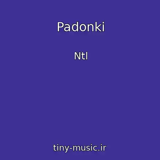 کاور آهنگ Padonki از Ntl