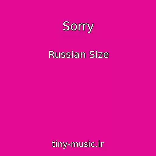 کاور آهنگ Sorry از Russian Size