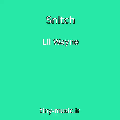 کاور آهنگ Snitch از Lil Wayne
