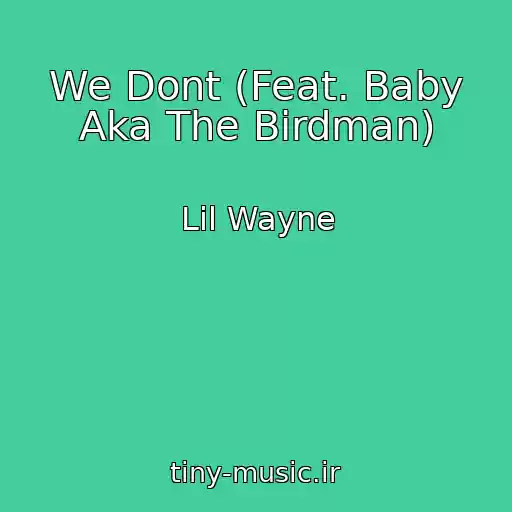 کاور آهنگ We Dont (Feat. Baby Aka The Birdman) از Lil Wayne