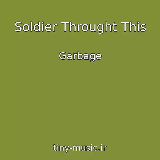 کاور آهنگ Soldier Throught This از Garbage