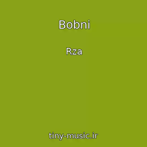 کاور آهنگ Bobni از Rza