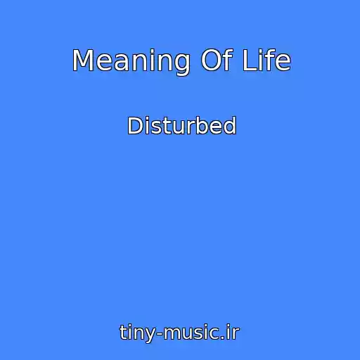 کاور آهنگ Meaning Of Life از Disturbed