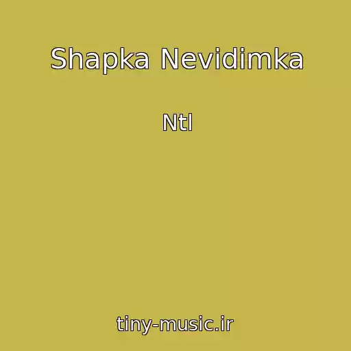کاور آهنگ Shapka Nevidimka از Ntl