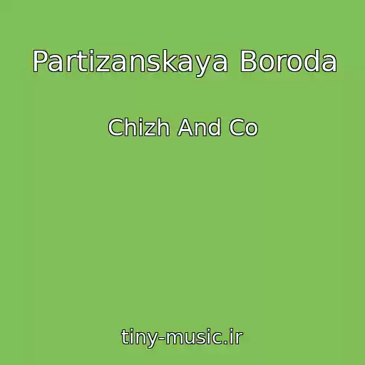 کاور آهنگ Partizanskaya Boroda از Chizh And Co