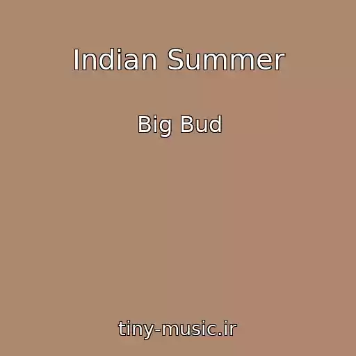 کاور آهنگ Indian Summer از Big Bud