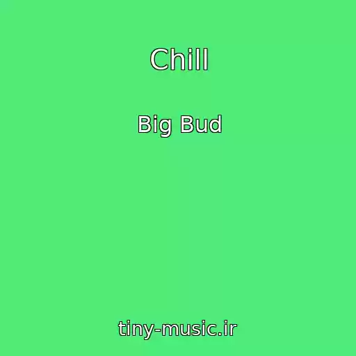 کاور آهنگ Chill از Big Bud