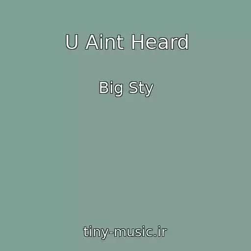 کاور آهنگ U Aint Heard از Big Sty