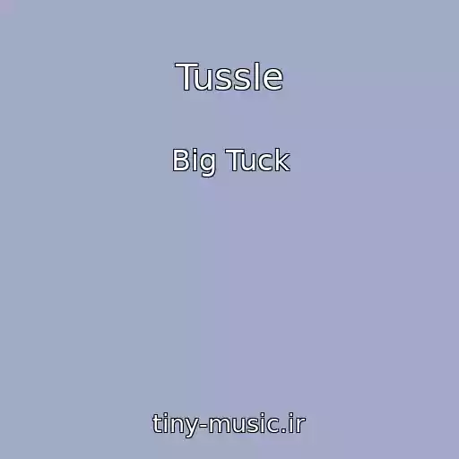 کاور آهنگ Tussle از Big Tuck