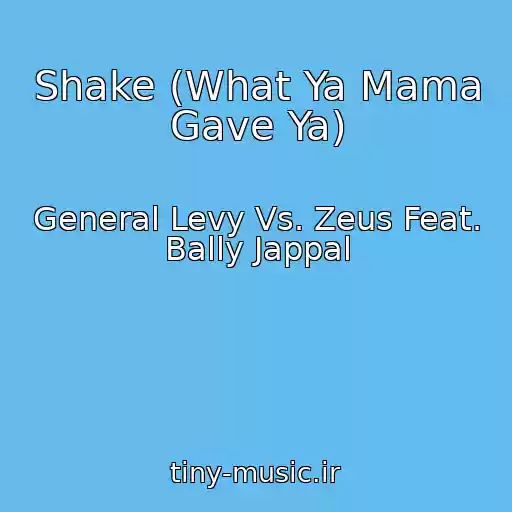 کاور آهنگ Shake (What Ya Mama Gave Ya) از General Levy Vs. Zeus Feat. Bally Jappal