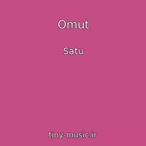 کاور آهنگ Omut از Satu