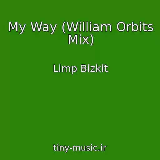 کاور آهنگ My Way (William Orbits Mix) از Limp Bizkit