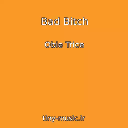 کاور آهنگ Bad Bitch از Obie Trice