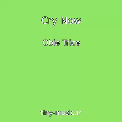 کاور آهنگ Cry Now از Obie Trice