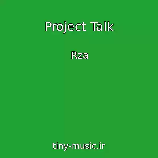 کاور آهنگ Project Talk از Rza