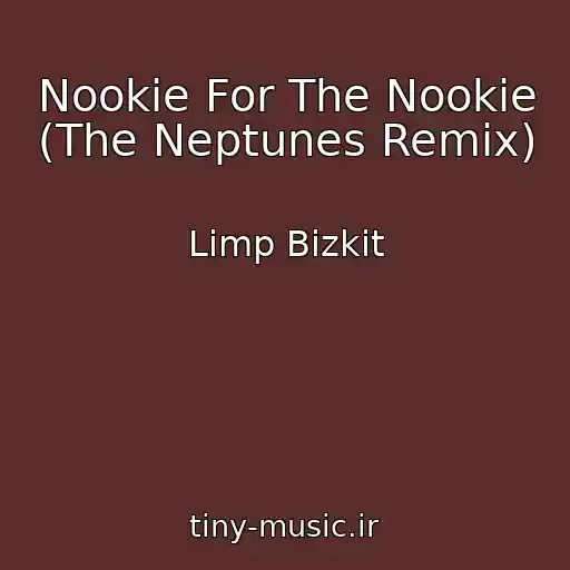 کاور آهنگ Nookie For The Nookie (The Neptunes Remix) از Limp Bizkit