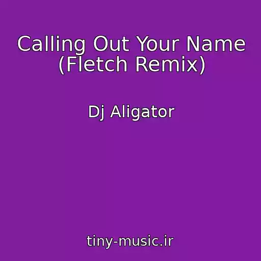 کاور آهنگ Calling Out Your Name (Fletch Remix) از Dj Aligator