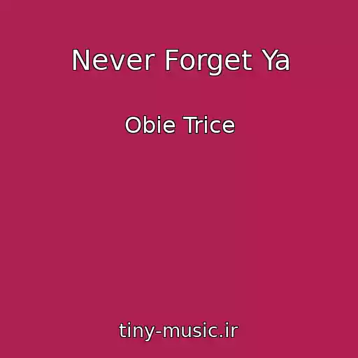 کاور آهنگ Never Forget Ya از Obie Trice