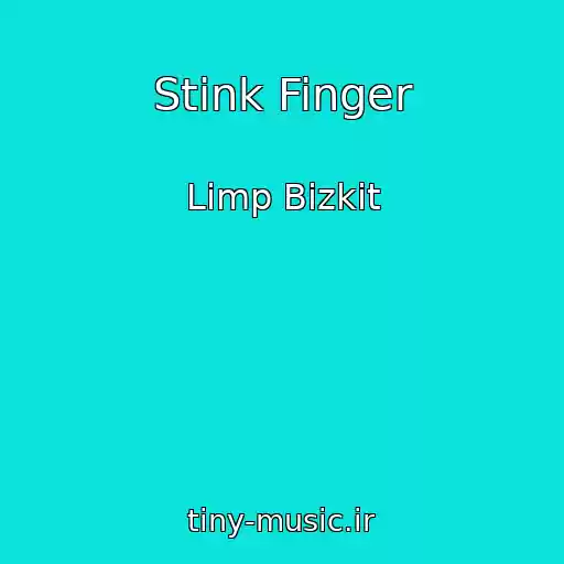 کاور آهنگ Stink Finger از Limp Bizkit