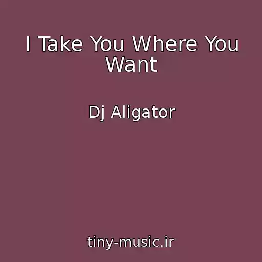 کاور آهنگ I Take You Where You Want از Dj Aligator