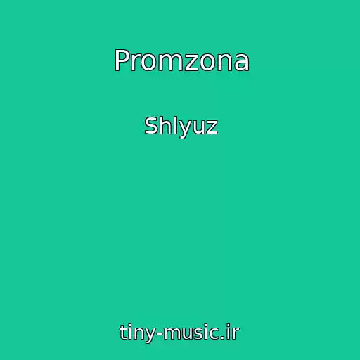 کاور آهنگ Promzona از Shlyuz