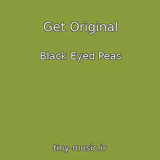 کاور آهنگ Get Original از Black Eyed Peas