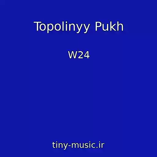 کاور آهنگ Topolinyy Pukh از W24