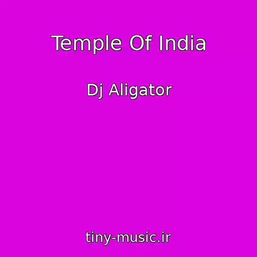 کاور آهنگ Temple Of India از Dj Aligator