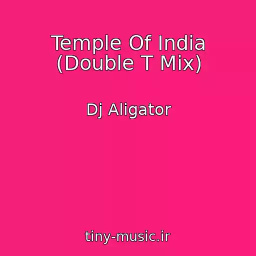 کاور آهنگ Temple Of India (Double T Mix) از Dj Aligator
