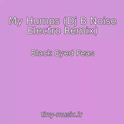 کاور آهنگ My Humps (Dj B Noise Electro Remix) از Black Eyed Peas