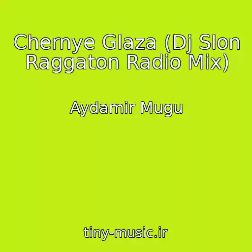 کاور آهنگ Chernye Glaza (Dj Slon Raggaton Radio Mix) از Aydamir Mugu
