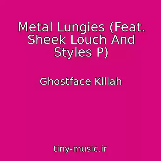کاور آهنگ Metal Lungies (Feat. Sheek Louch And Styles P) از Ghostface Killah
