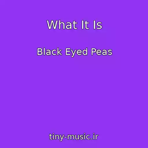کاور آهنگ What It Is از Black Eyed Peas