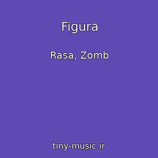 کاور آهنگ Figura از Rasa, Zomb