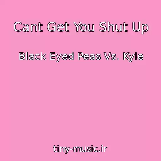 کاور آهنگ Cant Get You Shut Up از Black Eyed Peas Vs. Kyle