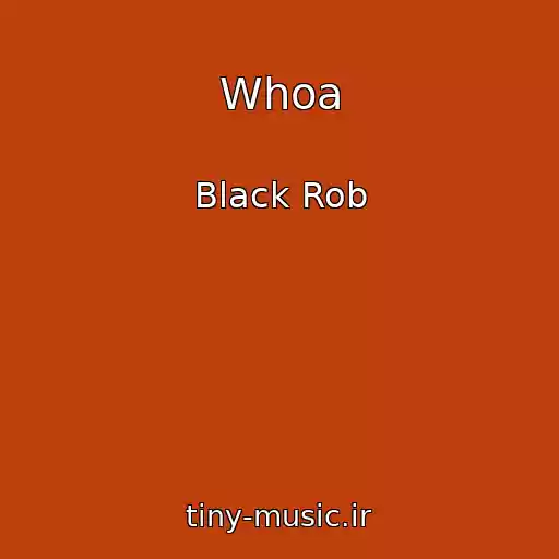 کاور آهنگ Whoa از Black Rob