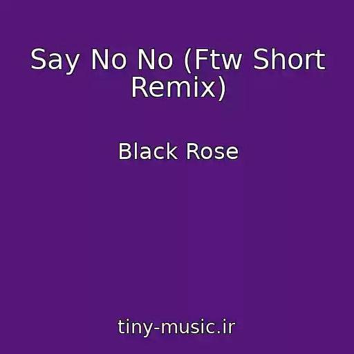 کاور آهنگ Say No No (Ftw Short Remix) از Black Rose