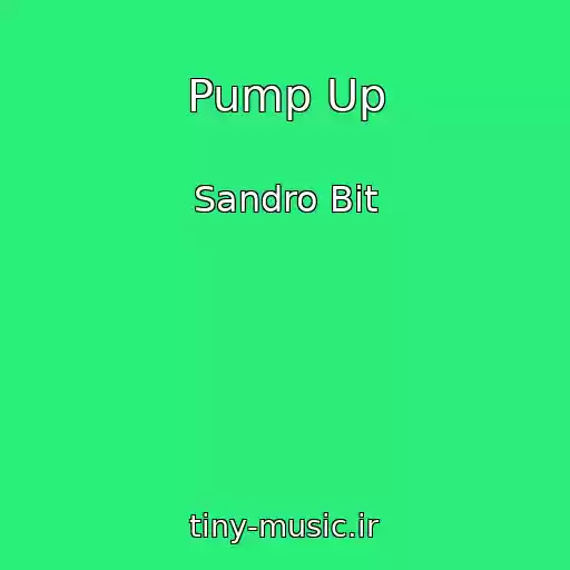 کاور آهنگ Pump Up از Sandro Bit
