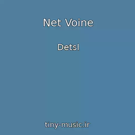 کاور آهنگ Net Voine از Detsl